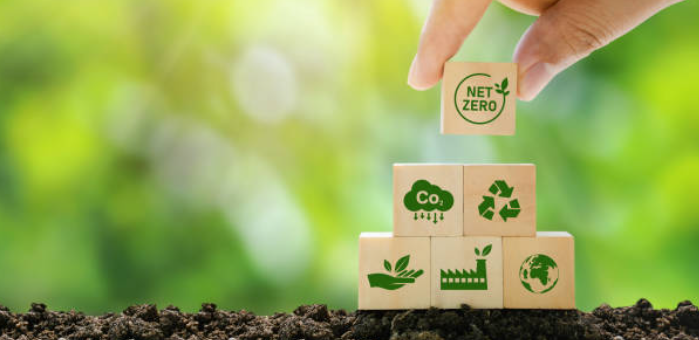 Digital Agriculture Monitoring